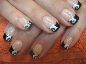 Bilder Feb 2012 035.jpg